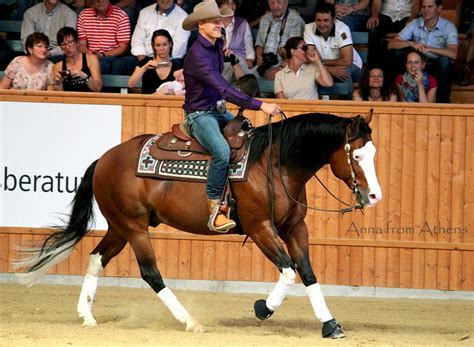 michael schumacher horses.